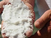 Beyaz kumun zararları gözler önüne serildi