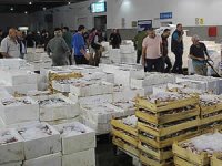 30 tür balık arasından en fazla tüketilen hamsi oldu