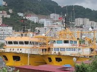 Balıkçılar, av sezonu için 1 Eylül’ü bekliyor