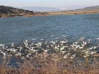 Azap Gölü’nde ekoturizm faaliyetleri yaygınlaşacak