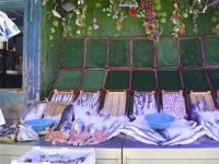 Balıkçılar yeni sezonu heyecanla bekliyor