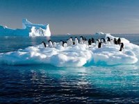 Temmuz ayı, Kuzey Yarımküre'de 'en sıcak ay' olarak kayıtlara geçti