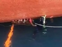 Zonguldak'ta Kolombiya bayraklı gemide kokain ele geçirildi