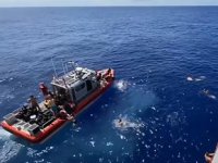 ABD'li denizciler, köpek balığından açılan ateşle kurtuldu