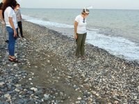 Mersin'de deniz kaplumbağalarının yuvalama alanları temizlendi