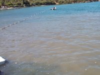 Milas'ta kanalizasyon suyu denize aktı