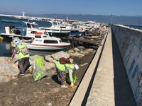 Burhaniye balıkçı barınağı ve fenerden onlarca torba çöp çıktı