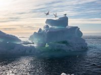 Kuzey Kutbu buzullarında en düşük 2. seviye ölçüldü