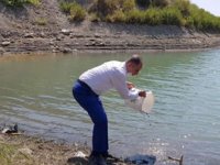 Hatay'da göl ve göletlere 94 bin sazan yavrusu bırakıldı