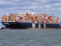 'MSC Ravenna' isimli konteyner gemisinde kavga çıktı: 1 mürettebat öldü!