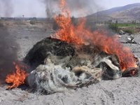 Afyonkarahisar’da 50 bin metre balık ağı imha edildi