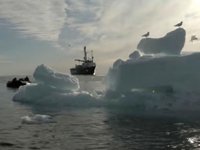 Buzların tarihte en çok eridiği yıllardan biri 2020 oldu