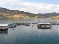 Malatya'dan 11 ülkeye balık ihracatı yapılıyor