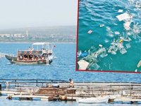 Cennet Koyu’nda balık çiftlikleri denizi kirletti