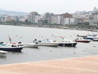 İshak Memişoğlu: Kurupelit Yat Limanı'nın doldurulması 'Doğa Cinayeti'dir