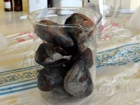 Palamut ve alabalık atıklarını protein tozuna dönüştürdüler