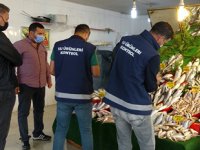 Van’daki balıkçılar sıkı denetimden geçti