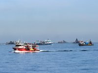 Balıkçı tekneleri sahile akın etti, görsel şölen oluştu