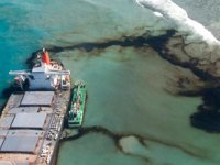 Japonya, Morityus'taki çevre felaketi için heyet gönderecek