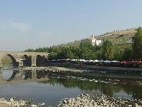 Barajdan gelen su kesildi, Dicle Nehri’nde binlerce balık telef oldu