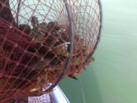 Eğirdir Gölü’nde kaçak kerevit avına geçit verilmiyor