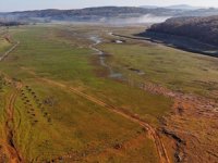 İstanbul'da barajlar alarm veriyor