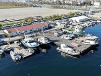 Cezalar sertleşti, denizlerde balık bereketi arttı