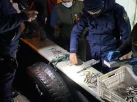 Akçakoca’da yapılan denetimde 15 ton hamsiye el konuldu