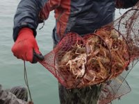 Eğirdir Gölü’nde 730 adet kerevit pinterine el konuldu