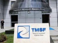 TMSF, Vera Denizcilik'i 3.5 milyon TL'ye satışa çıkardı
