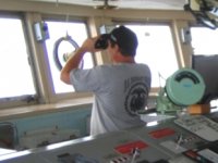 Türk gemiadamlarına PCR testi ve karantina uygulaması kaldırıldı