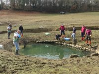 Mahsur kalan yavru balıkları kurtarmak için zamanla yarıştılar