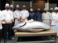 208 kiloluk orkinos 1.5 milyon liraya satıldı