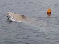 Armutlu’da fırtınaya dayanamayan tekne battı