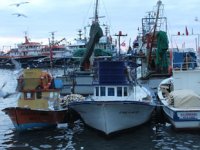 İğneada’da balıkçılar limana boş kasalar ile dönüyor