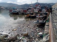 Limandaki görüntü görenleri şaşkına çevirdi