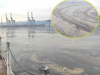 İzmit Körfezi'ndeki kirliliğin nedeni belli oldu