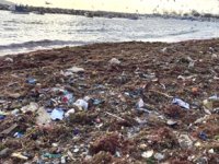 Suadiye Sahili'nde çöpler kıyıya vurdu