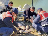 İzmir’de kaçak balık avcılarına geçit yok