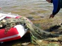 Kaçak avlanan 2 ton balık yeniden suya bırakıldı