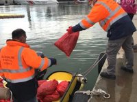 Kaçak avlanan 700 kilogram kum midyesi denize bırakıldı