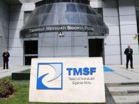 TMSF, Vera Denizcilik'i yeniden satışa çıkardı