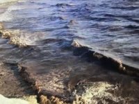 Adana'daki deniz kirliğinin nedeni belli oldu