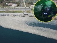 Marmara'nın derinliklerinde 'deniz salyası' görüldü