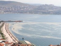 Gemlik sahili, plankton patlaması ile beyaza büründü
