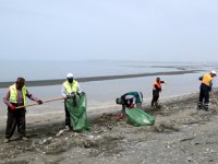 Van Gölü sahilinde temizlik çalışması yapıldı