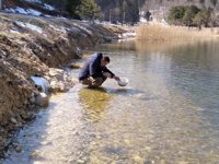 Göllere 620 bin adet alabalık yavrusu bırakıldı