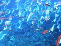 Çin'deki deniz kızı gösterisi rekor kırdı