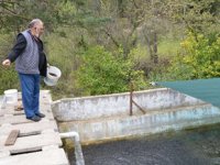 Akseki’de üretilen yavru alabalıklar ilgi görüyor