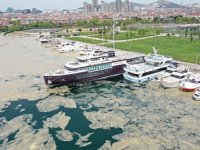 İstanbul'da deniz yüzeyinde oluşan beyaz tabaka kıyıya vurdu